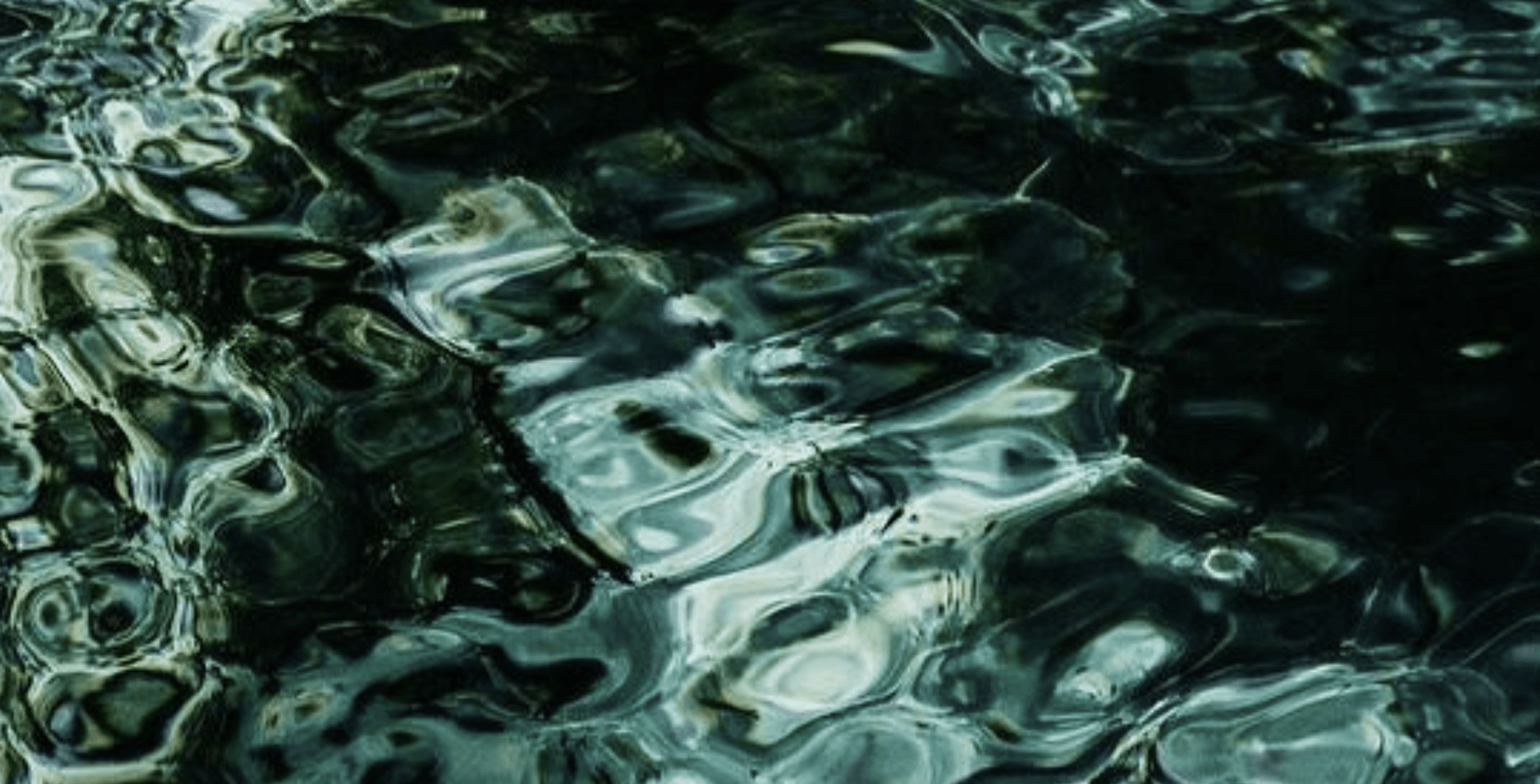 cover-image
